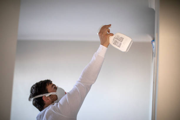 Best Commercial Mold Removal  in Lucasville, OH