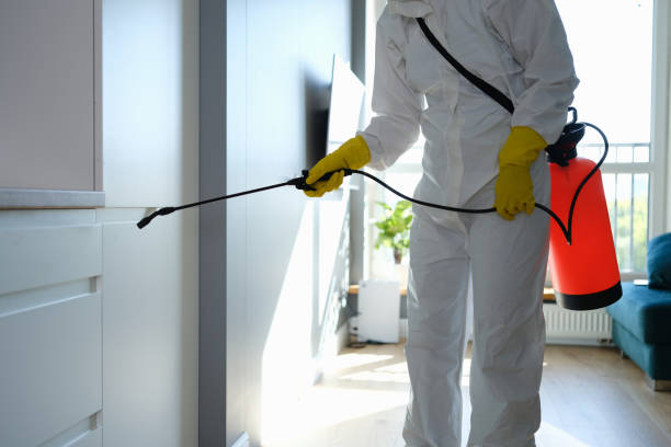 Professional Mold Removal in Lucasville, OH